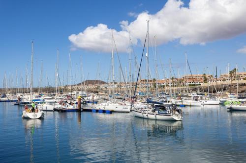 Apartamento Oceanfront Tenerife South Albatros 173