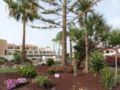 Apartamento Estudio En Tenerife Con Piscina / Study Flat With Pool