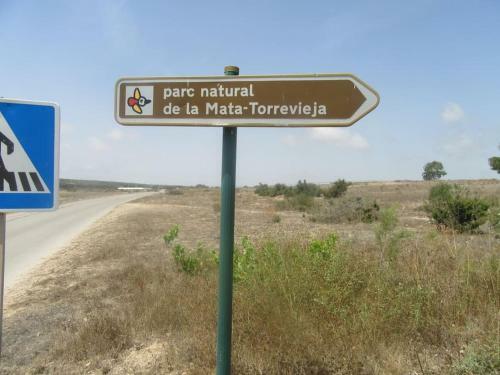 Apartment Near La Mata Beach