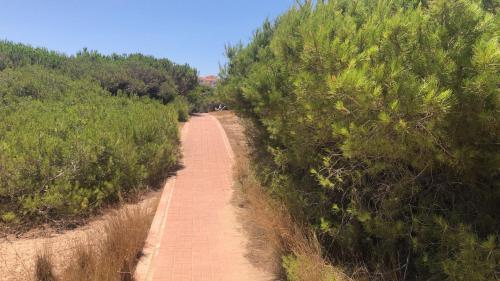 Apartment Near La Mata Beach
