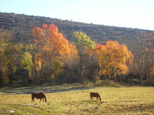 Bed & Breakfast El Balc� De Dorres