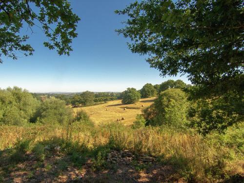 Holiday Home Le Manoir Saint Leonard De Noblat