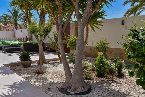 207 Villa Deluxe - Alicante Holiday