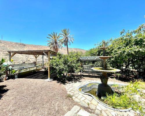 Apartment 5, Freewifi, Shared Pool Y Bbq, Terrace And Garden