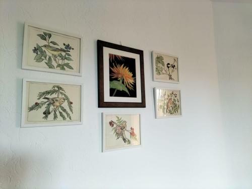 Apartamento Casa Fiorita