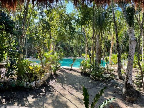 Bunga Lotus Glamping - Otoch Nacom