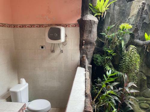 Hotel Ola Homestay