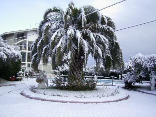 Hotel Parco Degli Ulivi