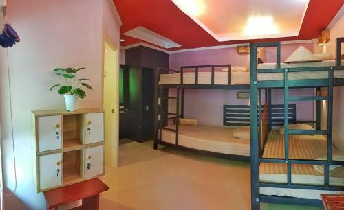 Albergue Friend Seeker