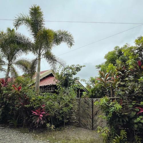 Bed & Breakfast The Jungle Hut