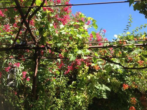Bed & Breakfast La Demeure Du Pressoir