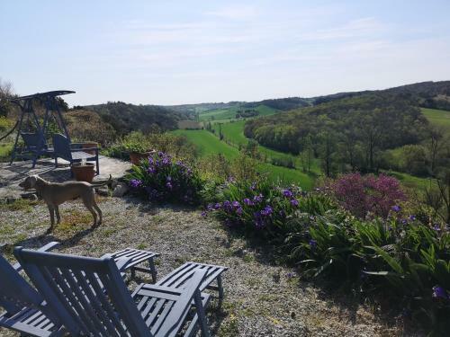 Bed & Breakfast Le Moulin Pastelier