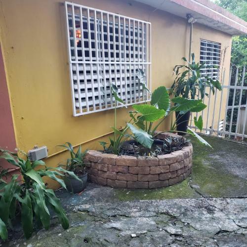 Casa Clara Vista