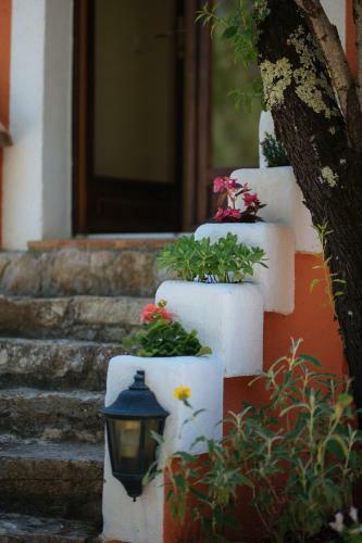 B&B Bastide Avellanne