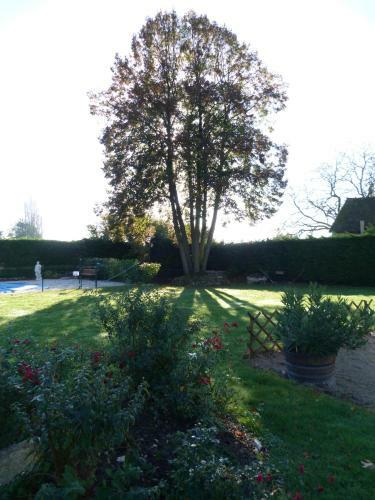 Hotel H�tel Restaurant Du Cheval Blanc