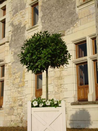 Bed & Breakfast Manoir Du Bois Noblet