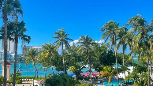 Villa Jungla Del Mar - Oceanfront City Apartment