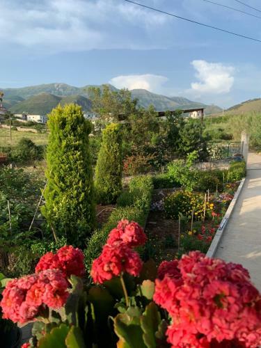 Apartamento Villa Kermezo