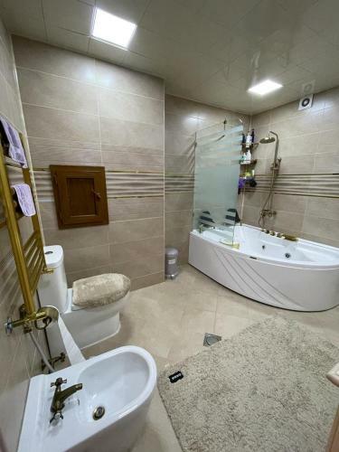 Delux Apartment Baku