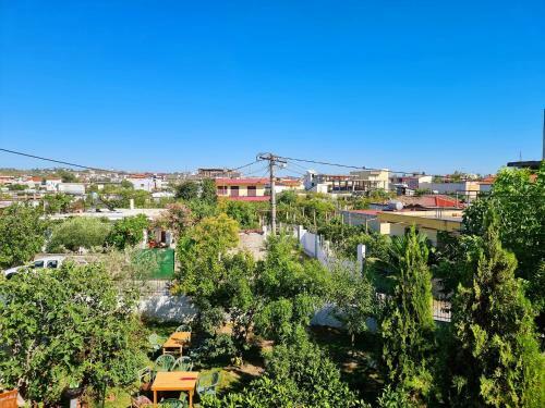 Hostal Guest House Vila Elezi