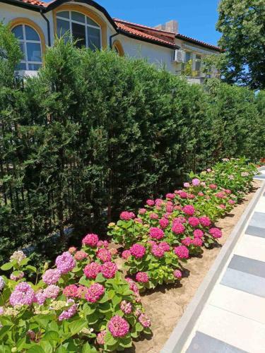 Apartament Kali