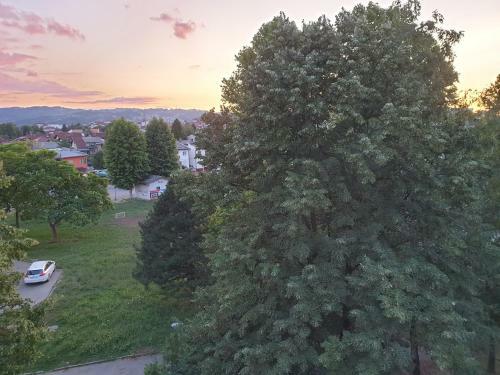 Elena Apartman