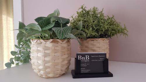 Apartamento Bnb Antwerpen - Chique