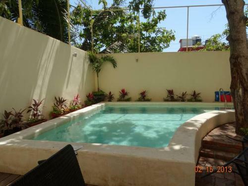 Apartamento Loft Hermoso Con Alberca Y Muy Cerca De La Playa