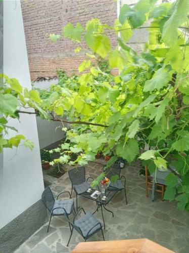 Bed & Breakfast Green Housee