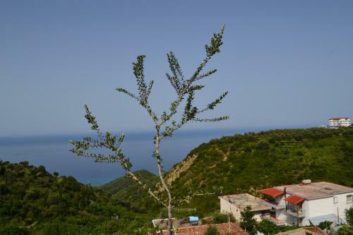 Apartamento Sea View Lukova
