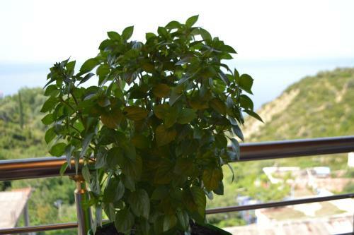 Apartamento Sea View Lukova
