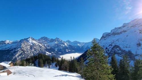 Sch�nes Studio- Apartment In Ruhiger Lage.