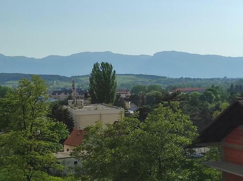 Apartman Dario Livno