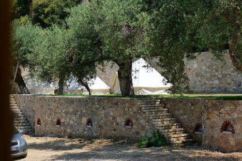 Bed & Breakfast Vila Panorama Piqeras