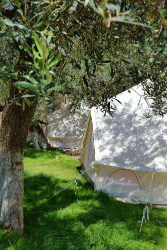 Bed & Breakfast Vila Panorama Piqeras