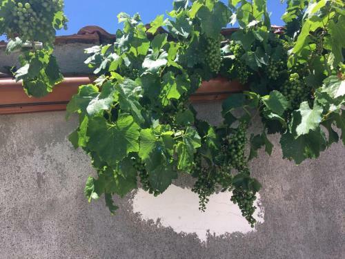 Apartamento Casa Di Lalota
