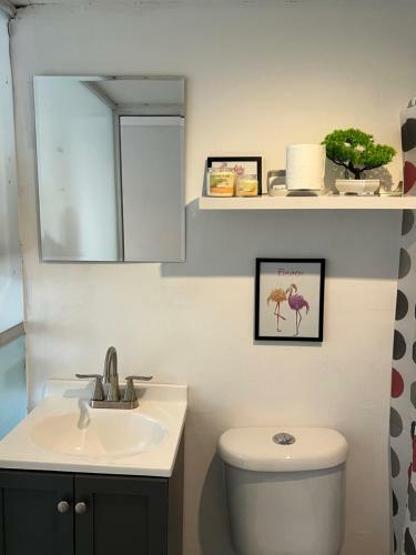 5 Cool Private Apartment In The Middle Of Cholula
