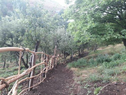 Hostal Aghveran Eco Guest House