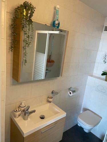 Apartamento Studio 27 B