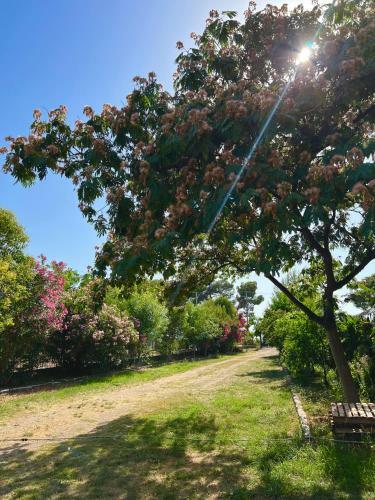 Apartment Kune,sh�ngjin