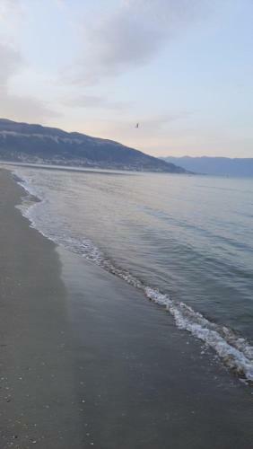 Apartamento Mad_apartament_vlore