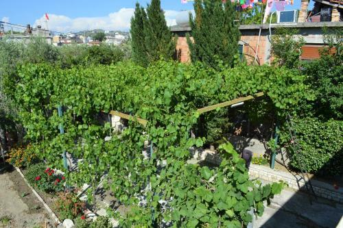 Apartamento Villa Licenji