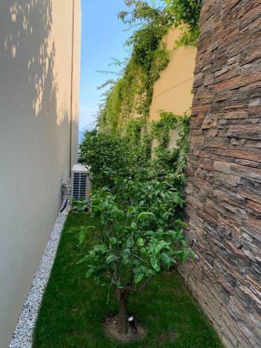 Apartamento Green Coast Resort &residences