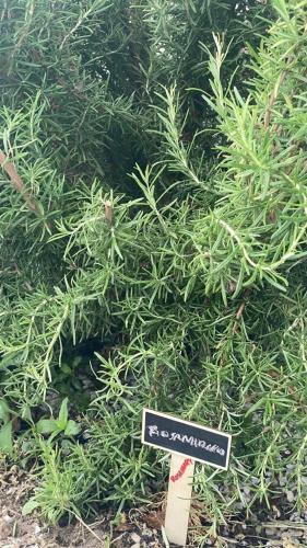 Apartamento Home With Stunning Views To Lake Maggiore