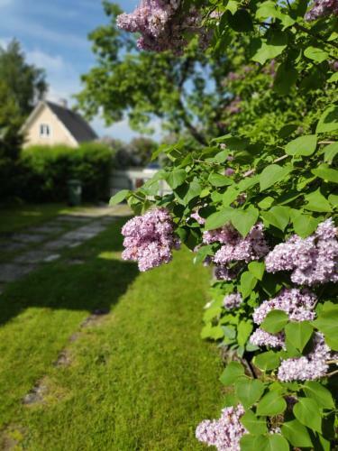 Sireli Hubane Maja Oma Aia Ja Kaminaga