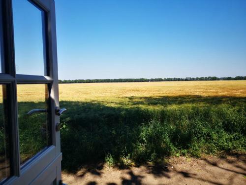 Tinyhouse Tatianason