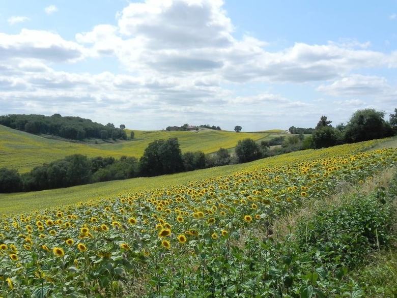 Bed & Breakfast Domaine � Marmande
