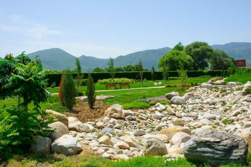 Hotel Uva Nestum Wine & Spa