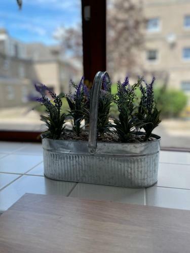 Charlotte Street Apartment