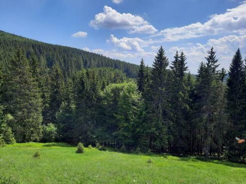 Velk� Apartm�n Cihlarka Pro A? 17 Osob